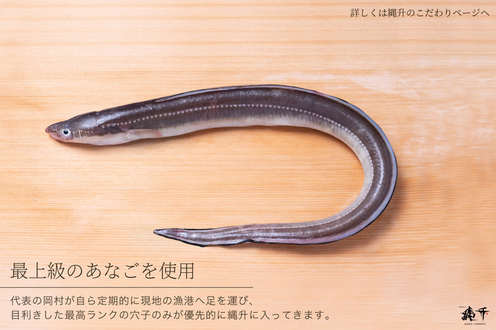 伝助あなご（特大焼き穴子） – 焼あなごの縄升